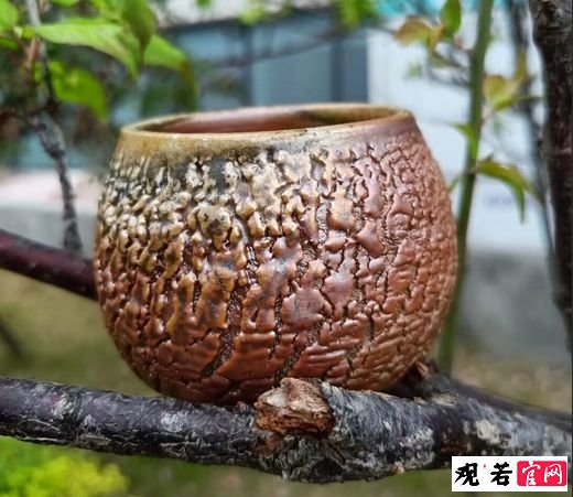 柴烧主人茶杯,柴烧主人茶杯怎么养?