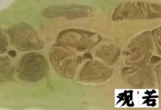 你还在为越窑秘色瓷的真伪鉴定犯愁吗?