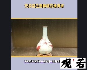 今天带大家赏析一件难得一见的元钧窑玉壶春瓶，高清赏析哦！