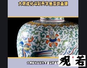 大明成化斗彩天字鱼藻纹盖罐,国宝级文物,它到底隐藏着什么秘密?