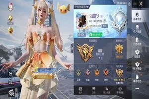 和平精英猪脸妹，和平精英迪妹简介